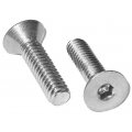 Stainless Flat Socket Allen 